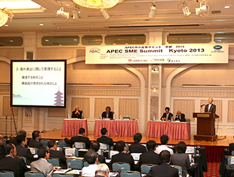 Scenes at APEC Small and Medium Enterprise Summit :Panel discussion and Exhibition booth