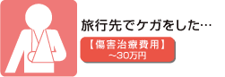 ���s��ŃP�K�������c�y���Q���Ô�p�z�`30���~