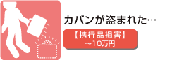 �J�o�������܂ꂽ�c�y�g�s�i���Q�z�`10���~