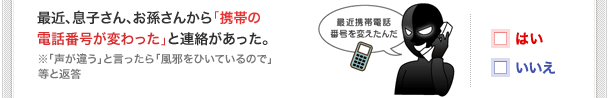 最近、息子さん、お孫さんから「携帯の電話番号が変わった」と連絡があった。※「声が違う」と言ったら「風邪をひいているので」等と返答
