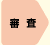 審査