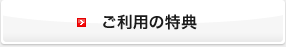 �����p�̓��T