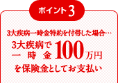 �|�C���g3 3�厾�a�ꎞ�������t�т����ꍇ�c3�厾�a�ňꎞ��100���~��ی����Ƃ��Ă��x����