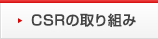 CSR�̎��g��