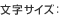 �����T�C�Y�F