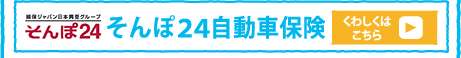 ����ۂQ�S�����ԕی�