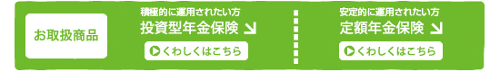 お取扱商品 積極的に運用されたい方…投資型年金保険 安定的に運用されたい方…定額年金保険