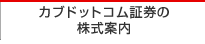 �J�u�h�b�g�R���،��̊����ē�