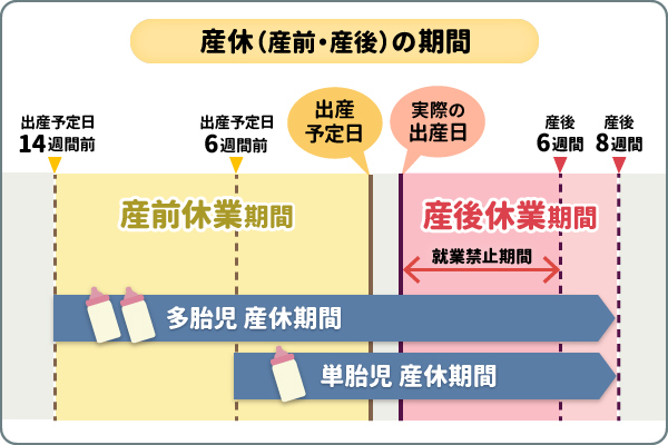 産休（産前・産後休業）の期間