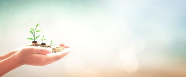 投資信託を選ぶときのポイントとは?