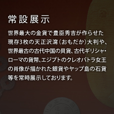 ��ݓW�� ���E�ő�̋��݂ŖL�b�G�g����点������3���̓V�����b�i���������j�唻��A���E�ŌÂ̌Ñ㒆���̊L�݁A�Ñ�M���V���E���[�}�̉ݕ��A�G�W�v�g�̃N���I�p�g�������̏ё����`���ꂽ��݂⃄�b�v���̐Ήݓ����펞�W�����Ă���܂��B