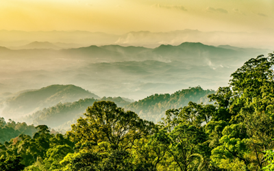 MUFG Malaysia offers Sustainability-Linked Loan to AEON Credit