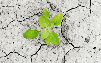 MUFG APAC Sustainable Deposit Framework