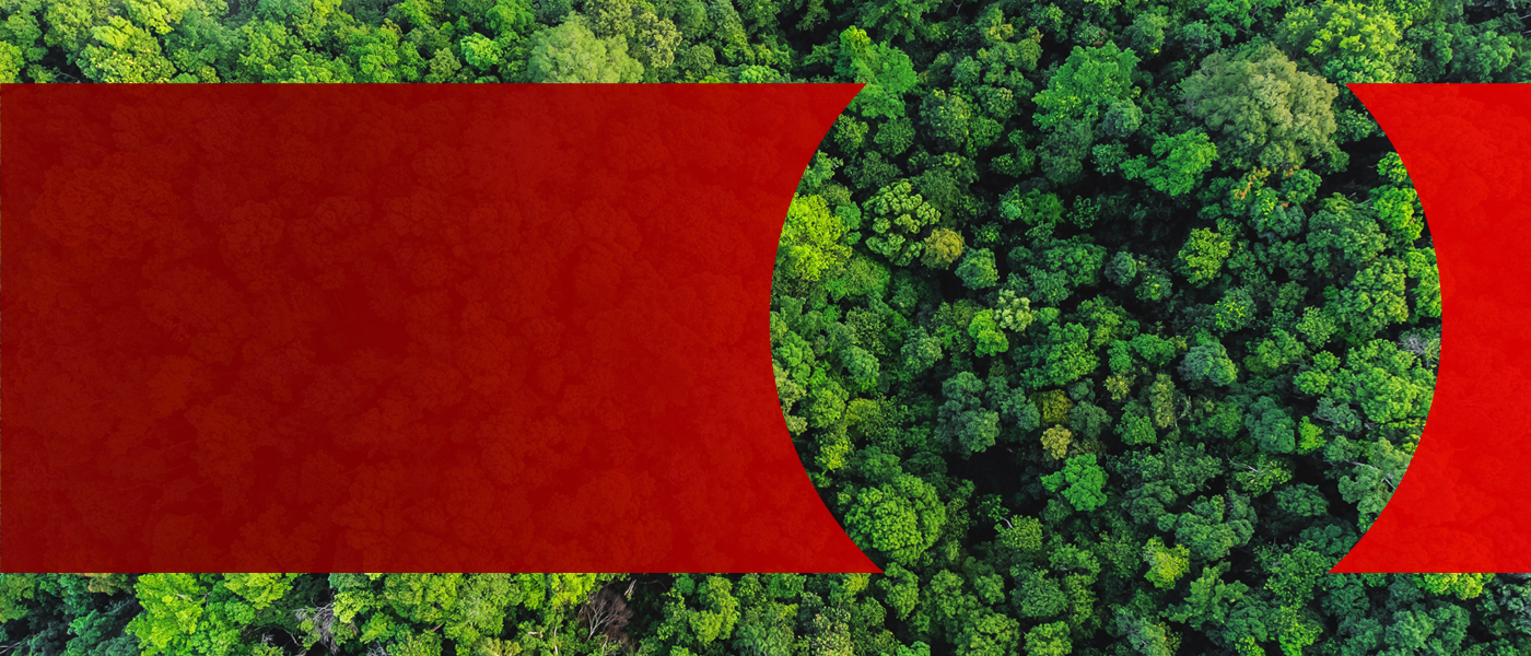How to mobilize more financing for Asia's energy transition