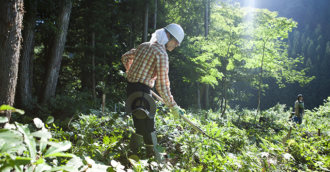President Hirano led the Activity of cutting the weeds.