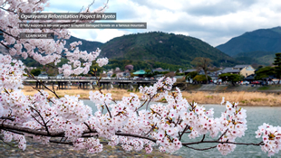 Ogurayama Reforestation Project in Kyoto