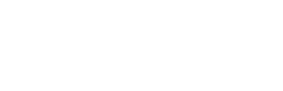 新しい信頼で、この国のチカラに!