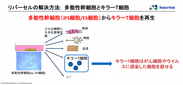 2013年にリバーセルの創業者 河本 宏教授が世界で初めてiPS細胞からキラーT細胞の再生に成功した。2025年3月現在、がんを特異的に見つけ出す因子導入技術に関するものを含む、3つの特許を取得。 