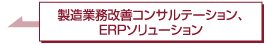 製造業務改善コンサルテ―ション、ERPソリューション