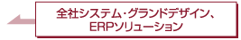 全体システム・グランドデザイン、ERPソリューション