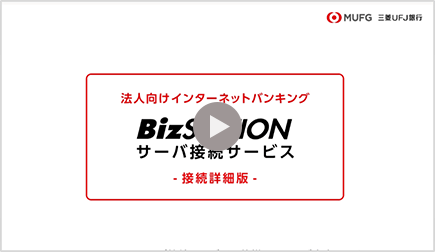 BizSTATION　サーバ接続サービス（接続詳細版）