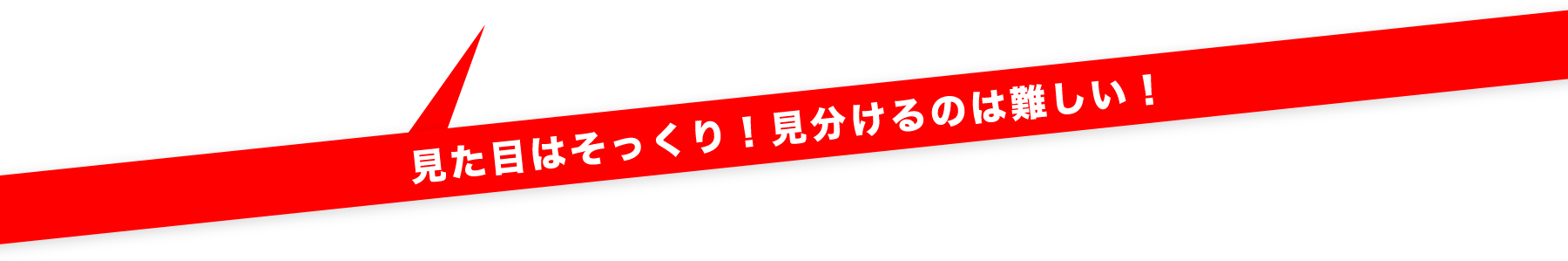 見た目はそっくり！見分けるのは難しい！