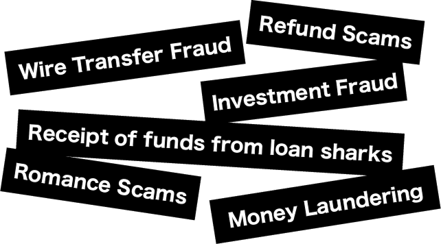 Romance Scams / Wire Transfer Fraud / Refund Scams / Investment Fraud / Receipt of funds from loan sharks / Money Laundering