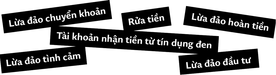 Lừa đảo tình cảm / Lừa đảo chuyển khoản / Rửa tiền / Lừa đảo hoàn tiền / Tài khoản nhận tiền từ tín dụng đen / Lừa đảo đầu tư
