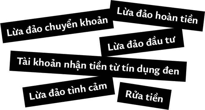 Lừa đảo tình cảm / Lừa đảo chuyển khoản / Rửa tiền / Lừa đảo hoàn tiền / Tài khoản nhận tiền từ tín dụng đen / Lừa đảo đầu tư