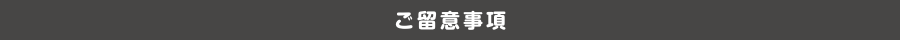 ご留意事項