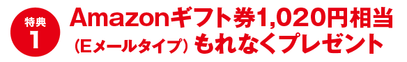 特典1:Amazonギフト券1,020円相当(Eメールタイプ)もれなくプレゼント