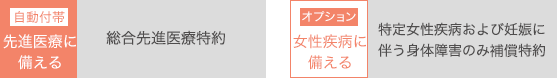 自動付帯 先進医療に備える 総合先進医療特約 オプション 女性疾病に備える 特定女性疾病および妊娠に伴う身体障害のみ補償特約