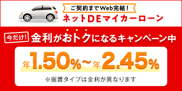 三菱ｕｆｊ銀行のネットdeマイカーローン据置タイプ 三菱ｕｆｊ銀行