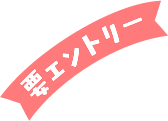 要エントリー