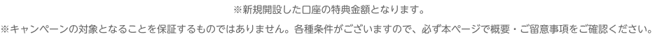 ※新規開設した口座の特典金額となります。 ※キャンペーンの対象となることを保証するものではありません。各種条件がございますので、必ず本ページで概要・ご留意事項をご確認ください。