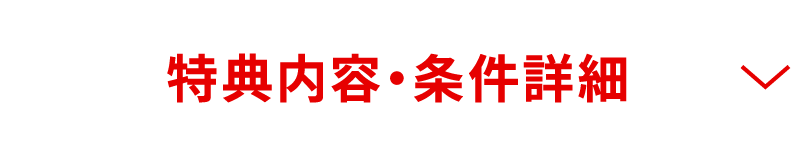 特典内容・条件詳細