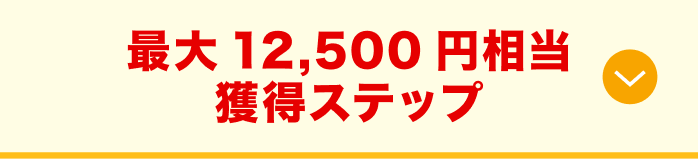 最大12,500円相当獲得ステップ