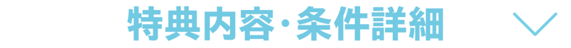 特典内容・条件詳細
