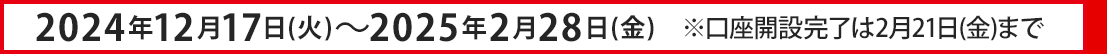 2024年12月17日（火）～2025年2月28日（金）※口座開設完了は2月21日（金）まで