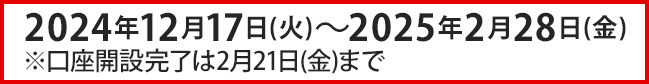 2024年12月17日（火）～2025年2月28日（金）※口座開設完了は2月21日（金）まで