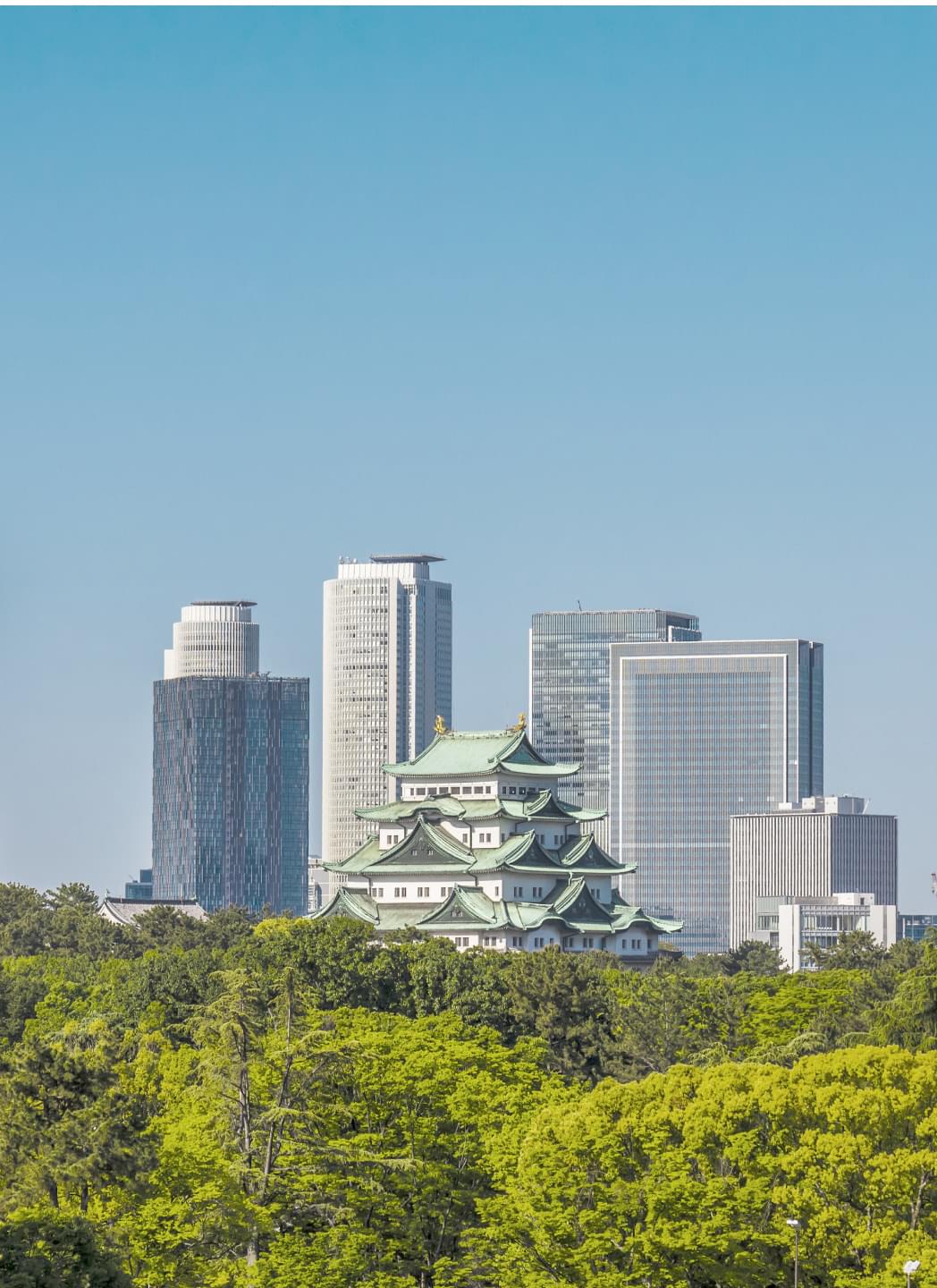 企業情報