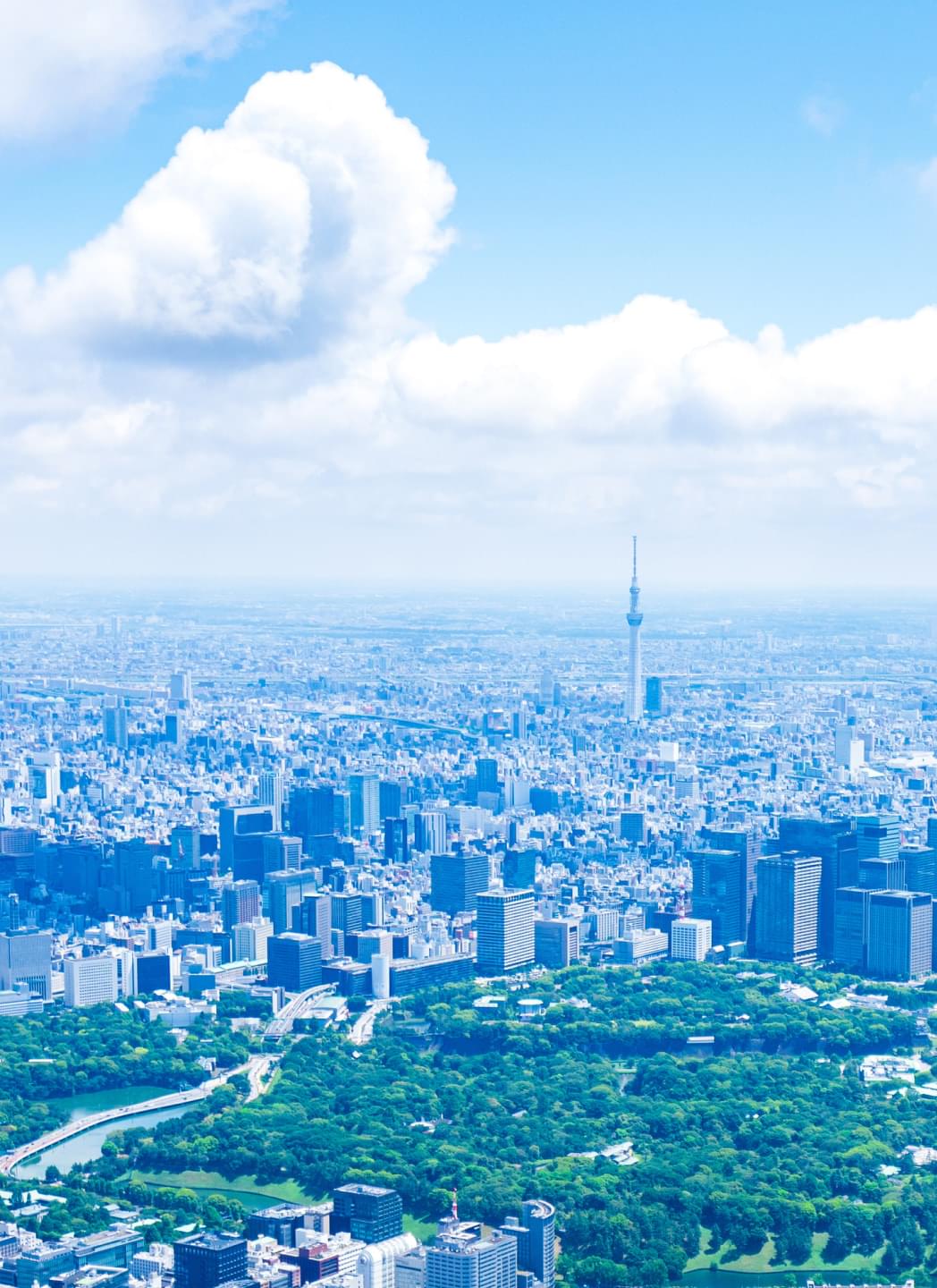 企業情報