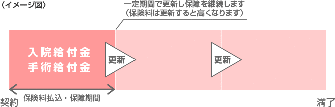 定期型のイメージ図