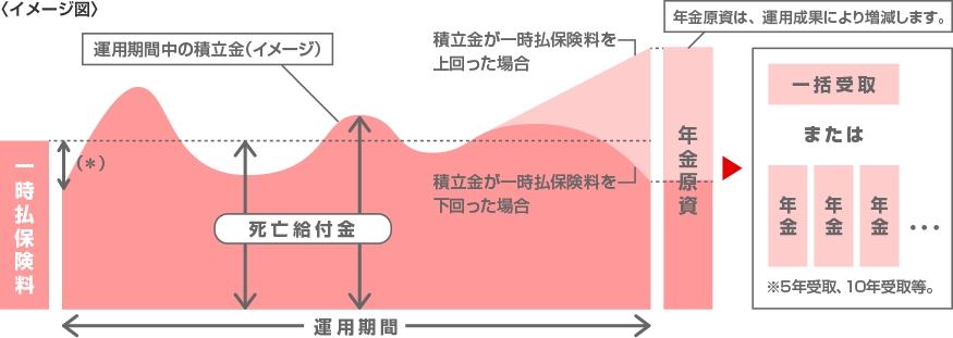 投資型年金保険のしくみのイメージ図