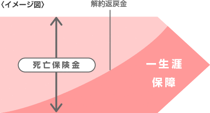 平準払終身保険のしくみのイメージ図