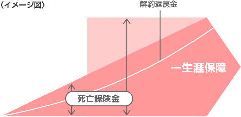 平準払終身保険のしくみのイメージ図