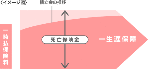 契約当初の保障が一時払保険料を上回るタイプのイメージ図