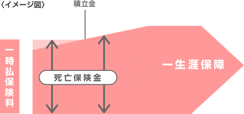 契約当初の保障が一時払保険料と同額のタイプのイメージ図