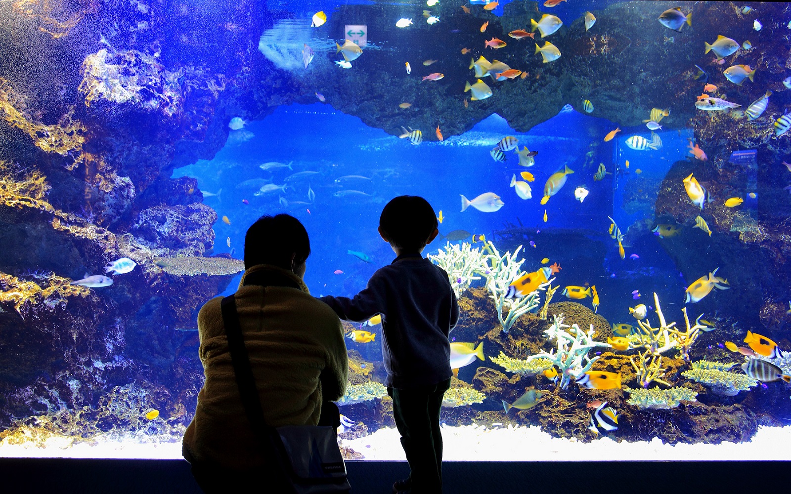 全国約1,000ヵ所の遊園地・テーマパーク