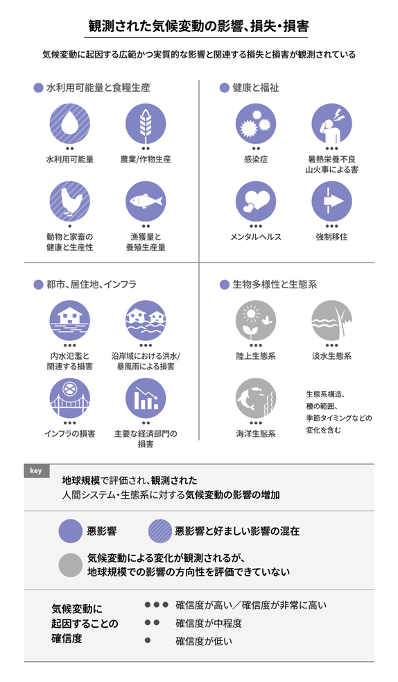 観測された気候変動の影響、損失・損害